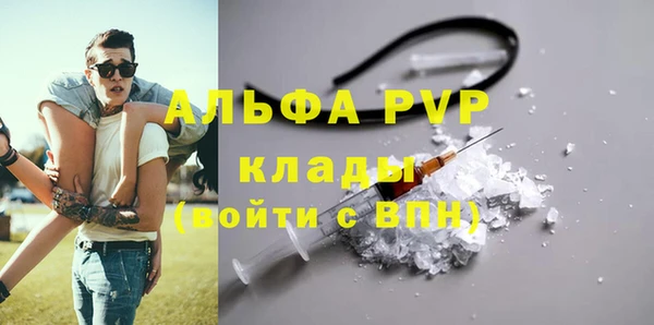 сатива Володарск