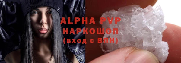 сатива Володарск